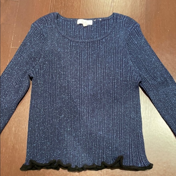 Parker blue sparkle sweater - Picture 1 of 6